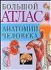 Большой атлас анатомии человека.