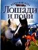 Лошади и пони. Верховая езда.