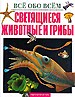 Светящиеся животные и грибы