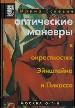 Оптические маневры в окрестностях Эйнштейна и Пикассо.