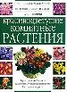 Красивоцветущие комнатные растения. Характерные особенности. Размножение. Болезни и вредители. Расте