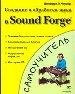 Создание и обработка звука в Sound Forge. Приемы базового монтажа и записи. Микширование. Мастеринг