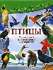Птицы. Удивительный и многообразный мир пернатых.