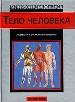 Тело человека